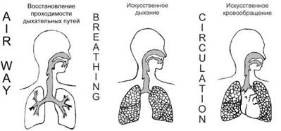 Описание: http://vmede.org/sait/content/Obwij_uhod_xir_shev4enko_2009/8_files/mb4_004.jpeg