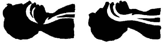 http://vmede.org/sait/content/Obwij_uhod_xir_shev4enko_2009/8_files/mb4_034.png