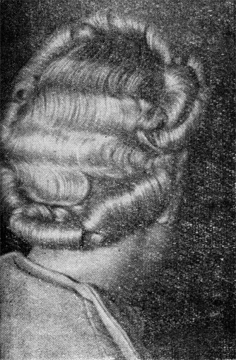 Рис. 8