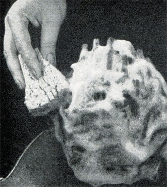 Рис. 284. Фиксирование пенистым раствором	