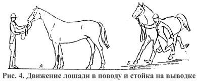 Рис. 4