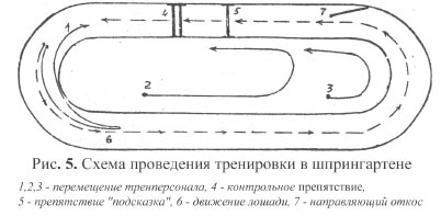 Рис. 5