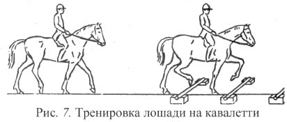 Рис. 7