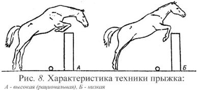 Рис. 8