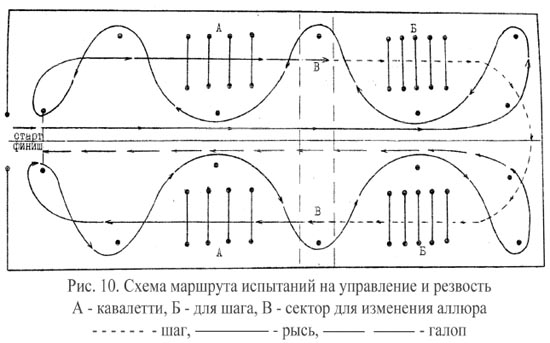 Рис. 10