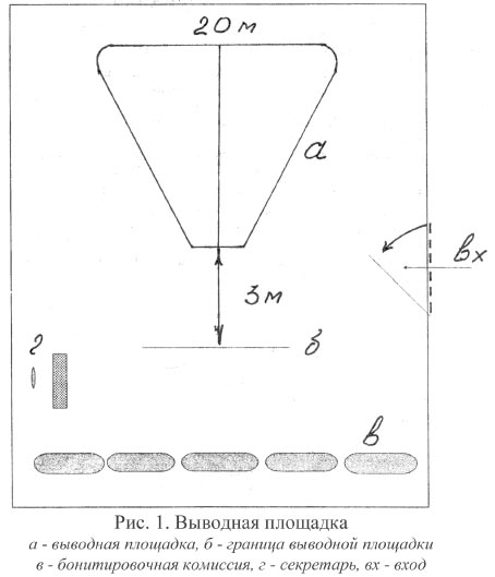 Рис. 1