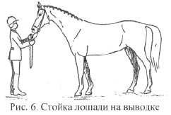 Рис. 6