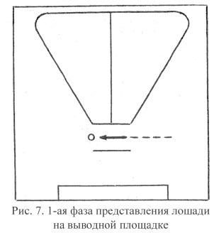 Рис. 7