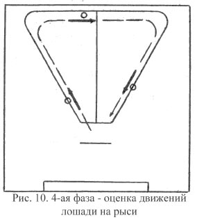 Рис. 10