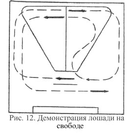 Рис. 12