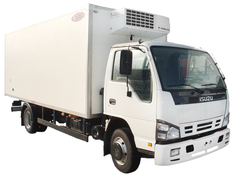 ISUZU NQR75P