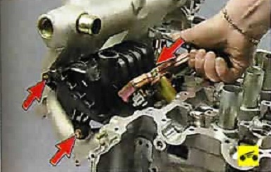 Nissan Almera Classic. ЗАМЕНА ДЕТАЛЕЙ УПЛОТНЕНИЯ ДВИГАТЕЛЯ. ЗАМЕНА ПРОКЛАДКИ ВПУСКНОГО КОЛЛЕКТОРА