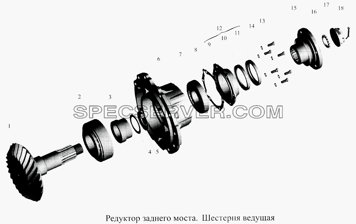 Редуктор заднего моста. Шестерня ведущая для МАЗ-5516А5 (список запасных частей)