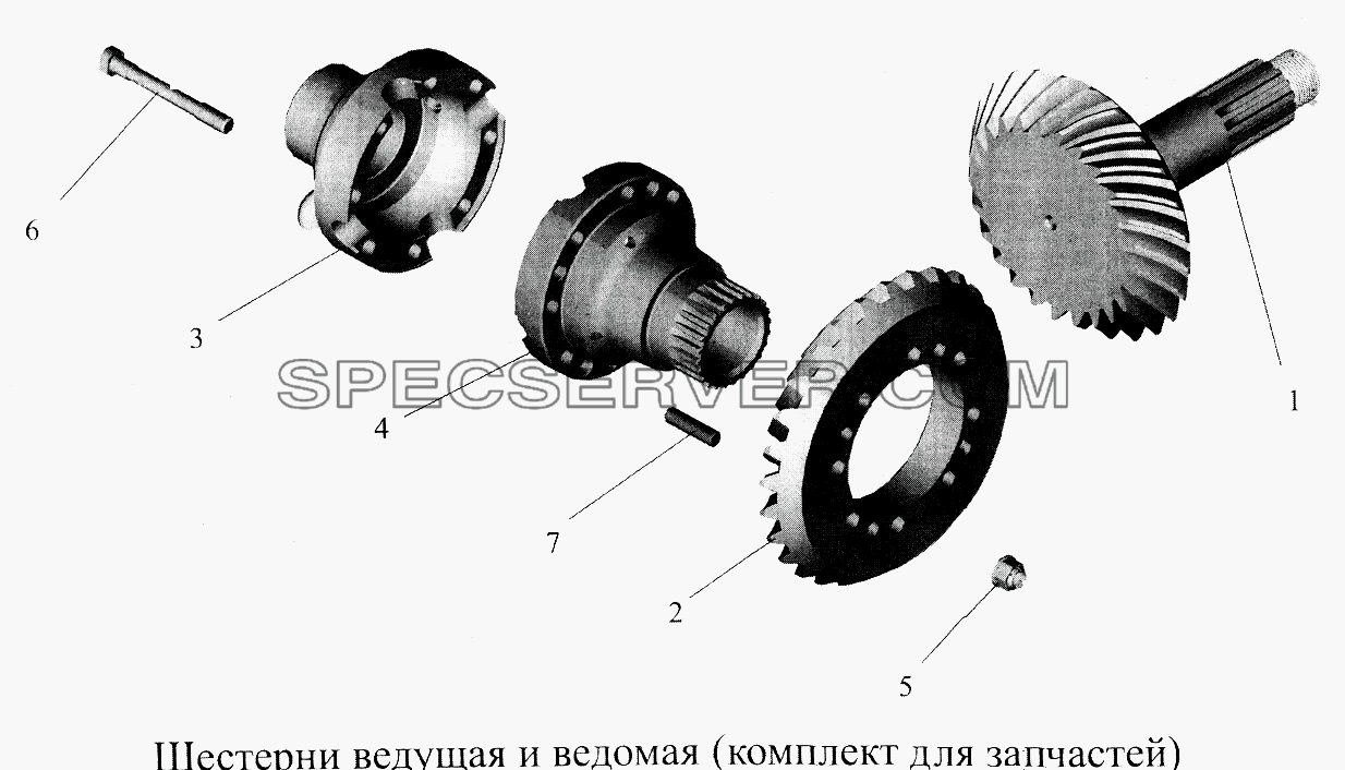 Шестерни ведущая и ведомая (комплект для запасных частей) для МАЗ-5516А5 (список запчастей)