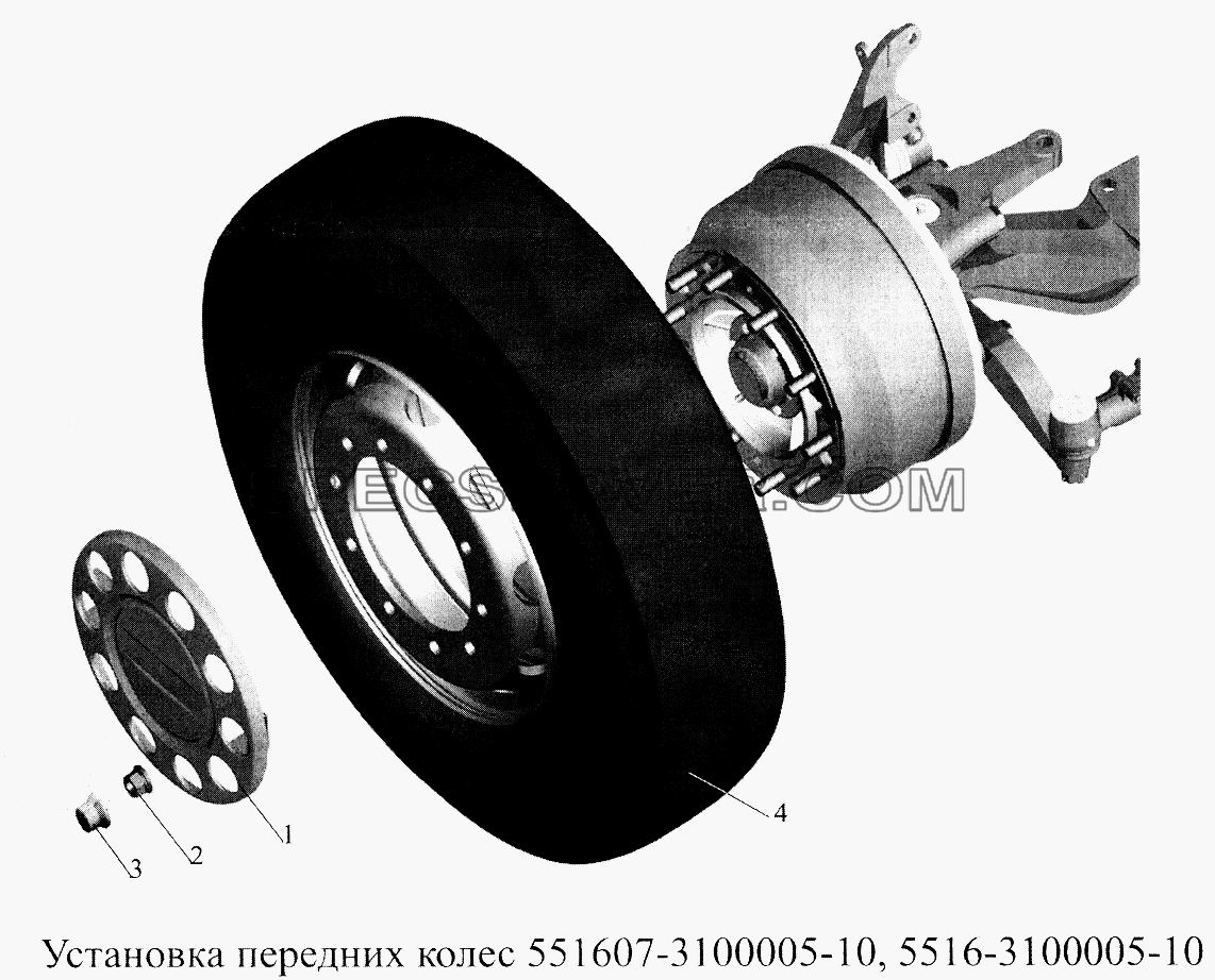 Установка передних колес 551607-3100005-10, 5516-3100005-10 для МАЗ-5516А5 (список запасных частей)
