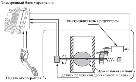 схема топливоподачи и эбу