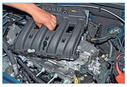Stepway 169-8.jpg