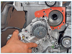 Stepway 178-3.jpg