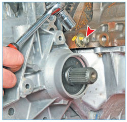 Stepway 191-6.jpg