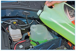 Stepway 39-1.jpg