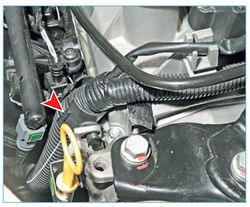 Stepway 90-1.jpg