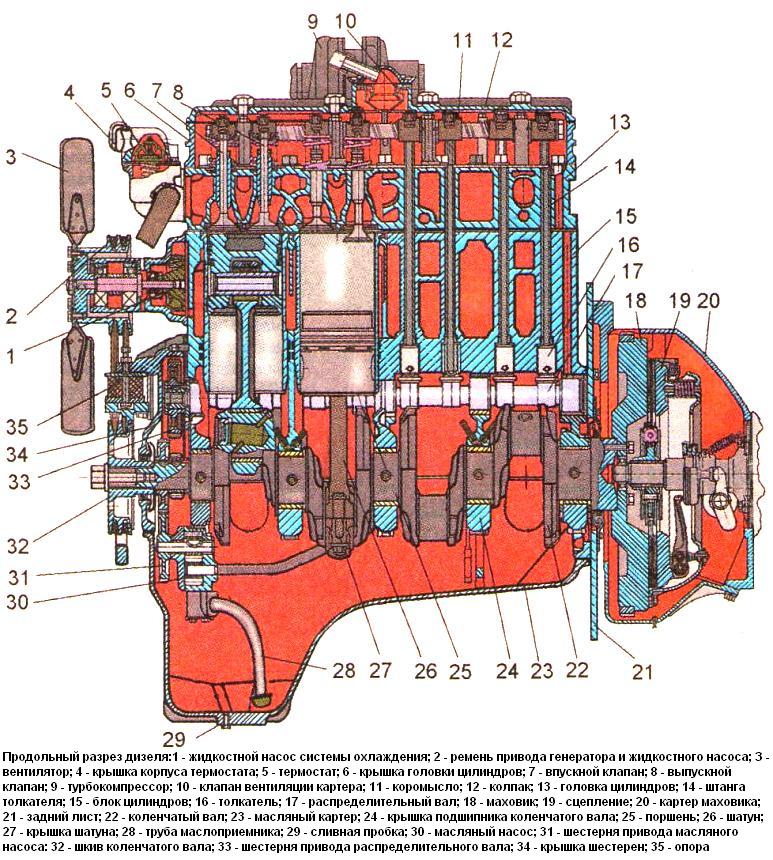 Продольный разрез дизеля Д-245