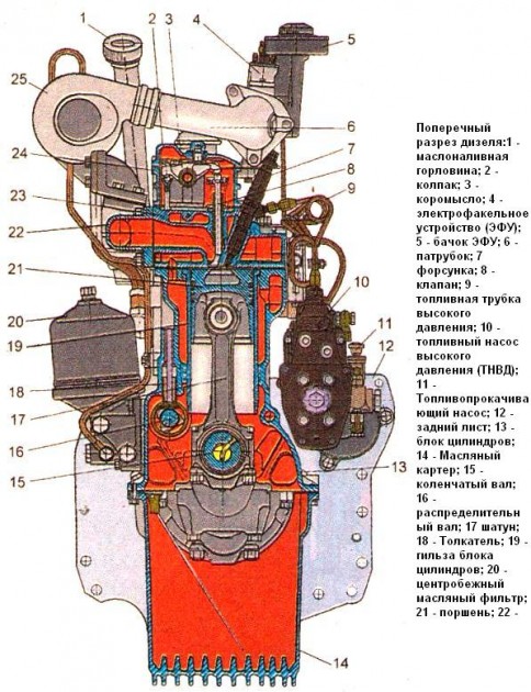 Поперечный разрез дизеля Д-245